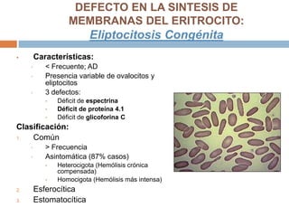  Características:
 < Frecuente; AD
 Presencia variable de ovalocitos y
eliptocitos
 3 defectos:
 Déficit de espectrina
 Déficit de proteína 4.1
 Déficit de glicoforina C
Clasificación:
1. Común
 > Frecuencia
 Asintomática (87% casos)
 Heterocigota (Hemólisis crónica
compensada)
 Homocigota (Hemólisis más intensa)
2. Esferocítica
3. Estomatocítica
DEFECTO EN LA SINTESIS DE
MEMBRANAS DEL ERITROCITO:
Eliptocitosis Congénita
 