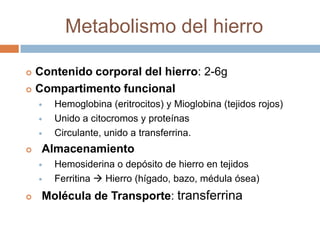 Metabolismo del hierro
 Contenido corporal del hierro: 2-6g
 Compartimento funcional
 Hemoglobina (eritrocitos) y Mioglobina (tejidos rojos)
 Unido a citocromos y proteínas
 Circulante, unido a transferrina.
 Almacenamiento
 Hemosiderina o depósito de hierro en tejidos
 Ferritina  Hierro (hígado, bazo, médula ósea)
 Molécula de Transporte: transferrina
 