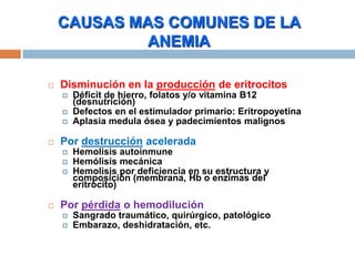  Disminución en la producción de eritrocitos
 Déficit de hierro, folatos y/o vitamina B12
(desnutrición)
 Defectos en el estimulador primario: Eritropoyetina
 Aplasia medula ósea y padecimientos malignos
 Por destrucción acelerada
 Hemolisis autoinmune
 Hemólisis mecánica
 Hemolisis por deficiencia en su estructura y
composición (membrana, Hb o enzimas del
eritrocito)
 Por pérdida o hemodilución
 Sangrado traumático, quirúrgico, patológico
 Embarazo, deshidratación, etc.
CAUSAS MAS COMUNES DE LA
ANEMIA
 