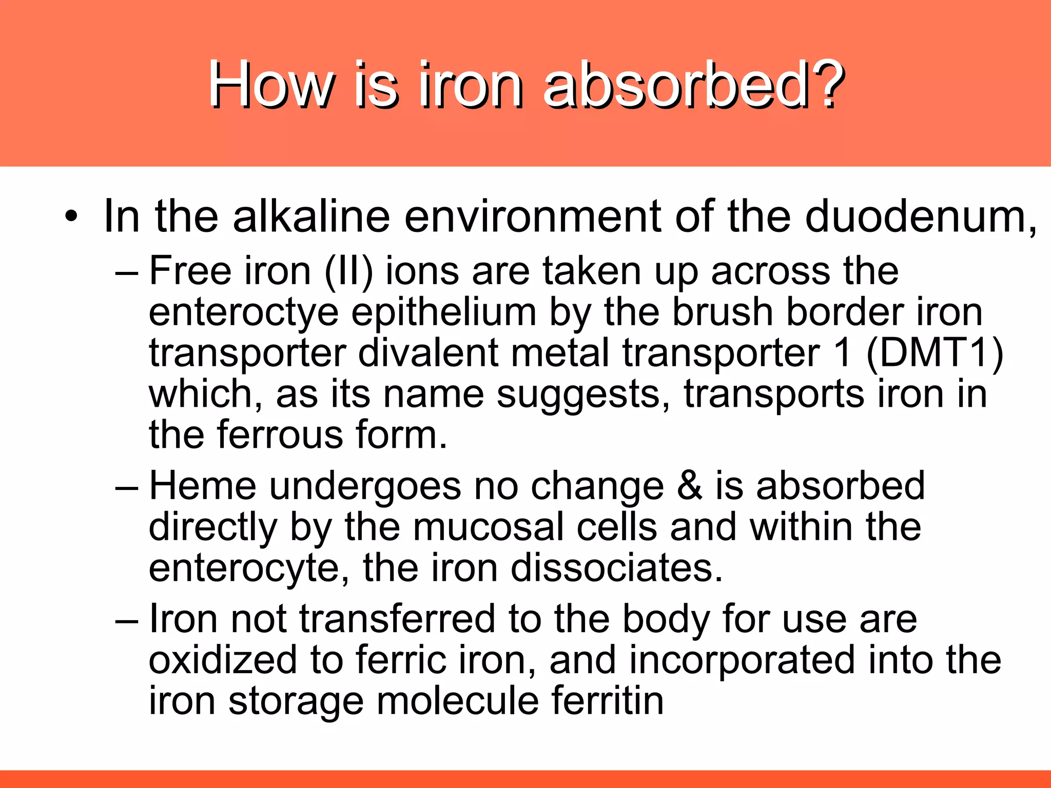 How is iron absorbed? In the alkaline environment of the duodenum,  Free iron (II) ions are taken up across the enteroctye epithelium by the brush border iron transporter divalent metal transporter 1 (DMT1) which, as its name suggests, transports iron in the ferrous form.  Heme undergoes no change & is absorbed directly by the mucosal cells and within the enterocyte, the iron dissociates.  Iron not transferred to the body for use are oxidized to ferric iron, and incorporated into the iron storage molecule ferritin  