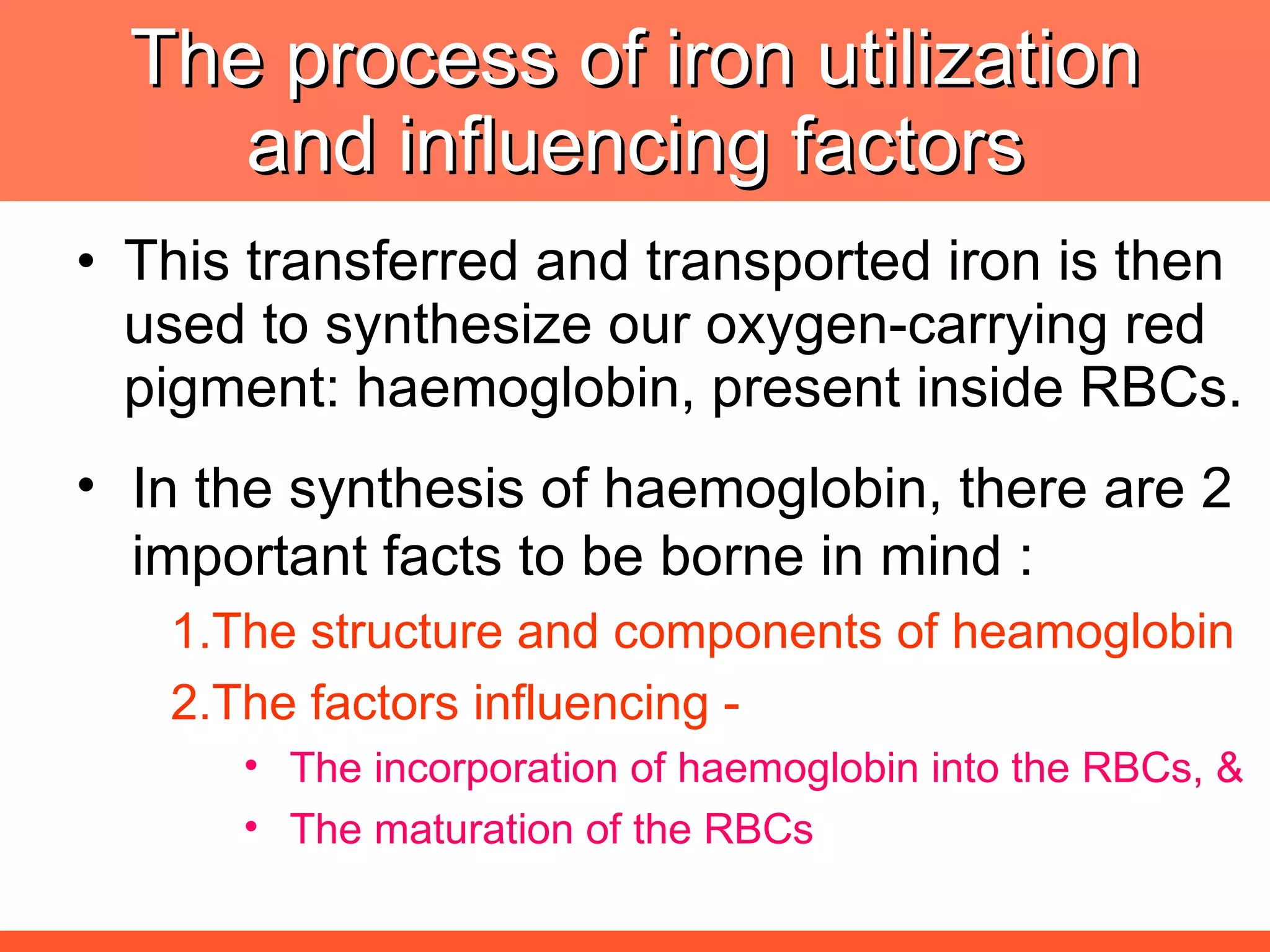 The process of iron utilization and influencing factors This transferred and transported iron is then used to synthesize our oxygen-carrying red pigment: haemoglobin, present inside RBCs. In the synthesis of haemoglobin, there are 2 important facts to be borne in mind : The structure and components of heamoglobin The factors influencing - The incorporation of haemoglobin into the RBCs, & The maturation of the RBCs 