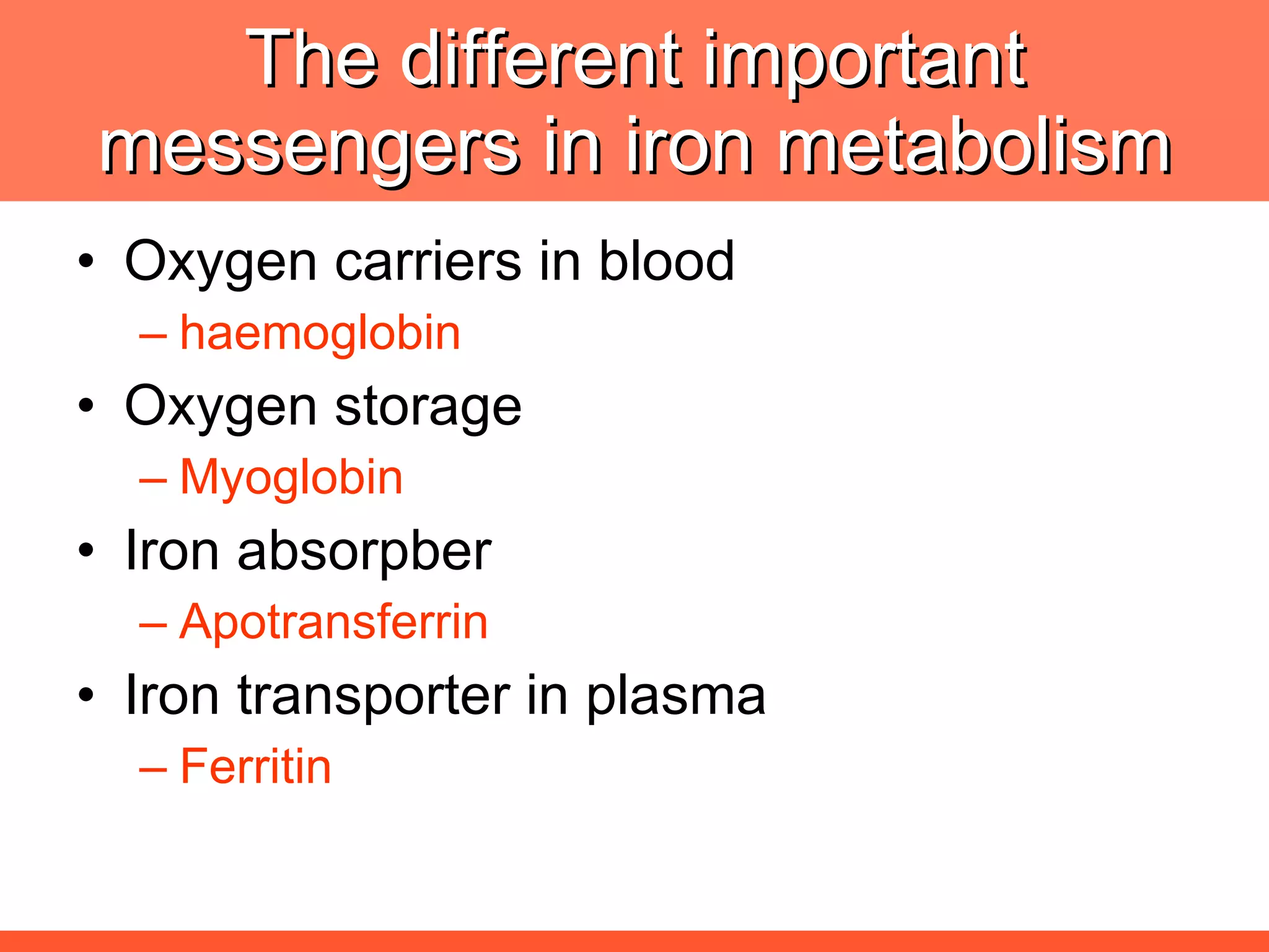 The different important messengers in iron metabolism Oxygen carriers in blood haemoglobin Oxygen storage Myoglobin Iron absorpber Apotransferrin Iron transporter in plasma Ferritin 