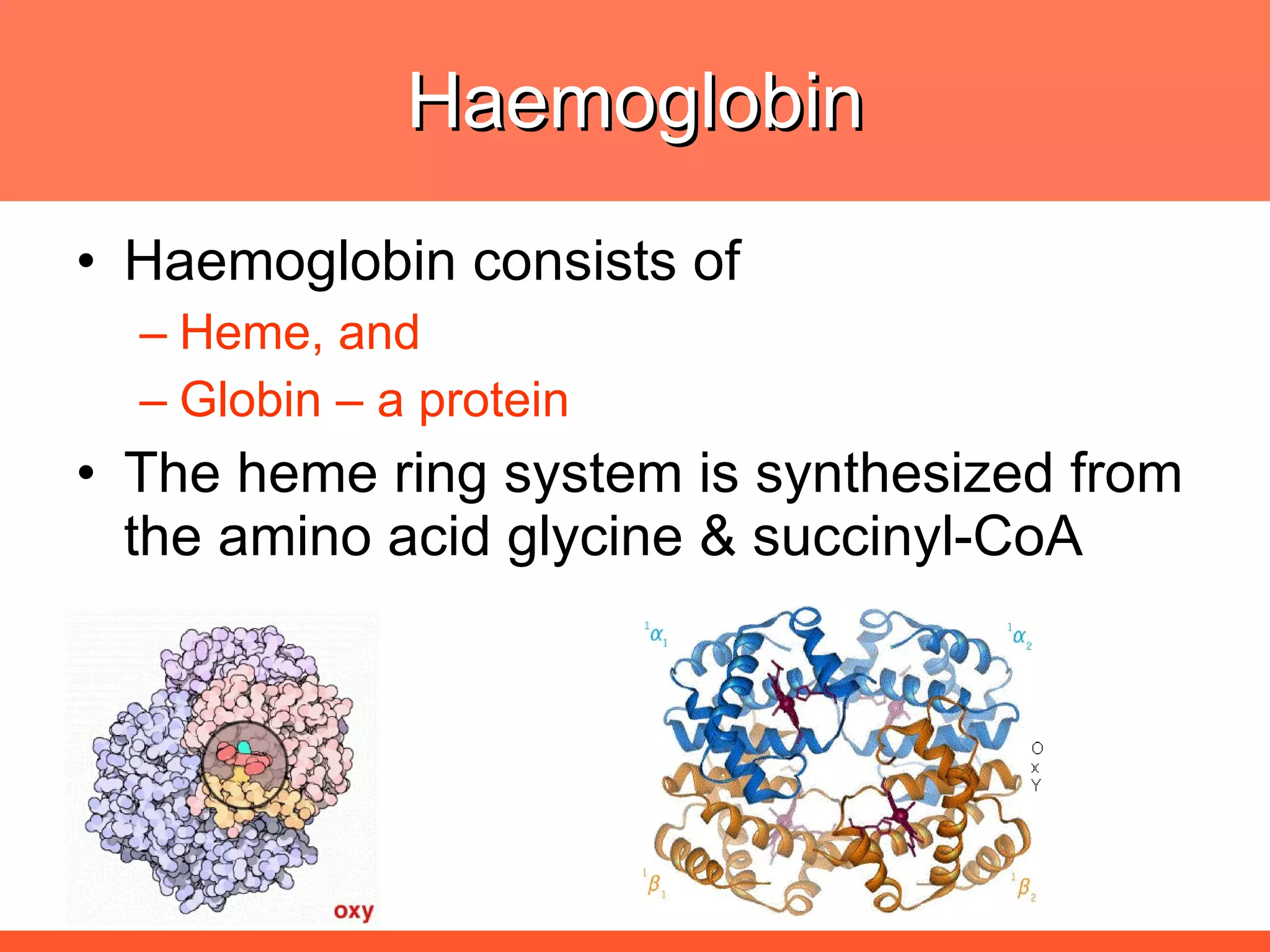 Haemoglobin Haemoglobin consists of  Heme, and  Globin – a protein The heme ring system is synthesized from the amino acid glycine & succinyl-CoA 