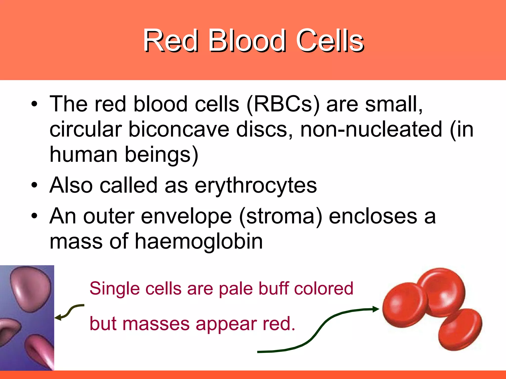 Red Blood Cells The red blood cells (RBCs) are small, circular biconcave discs, non-nucleated (in human beings) Also called as erythrocytes An outer envelope (stroma) encloses a mass of haemoglobin Single cells are pale buff colored but masses appear red . 