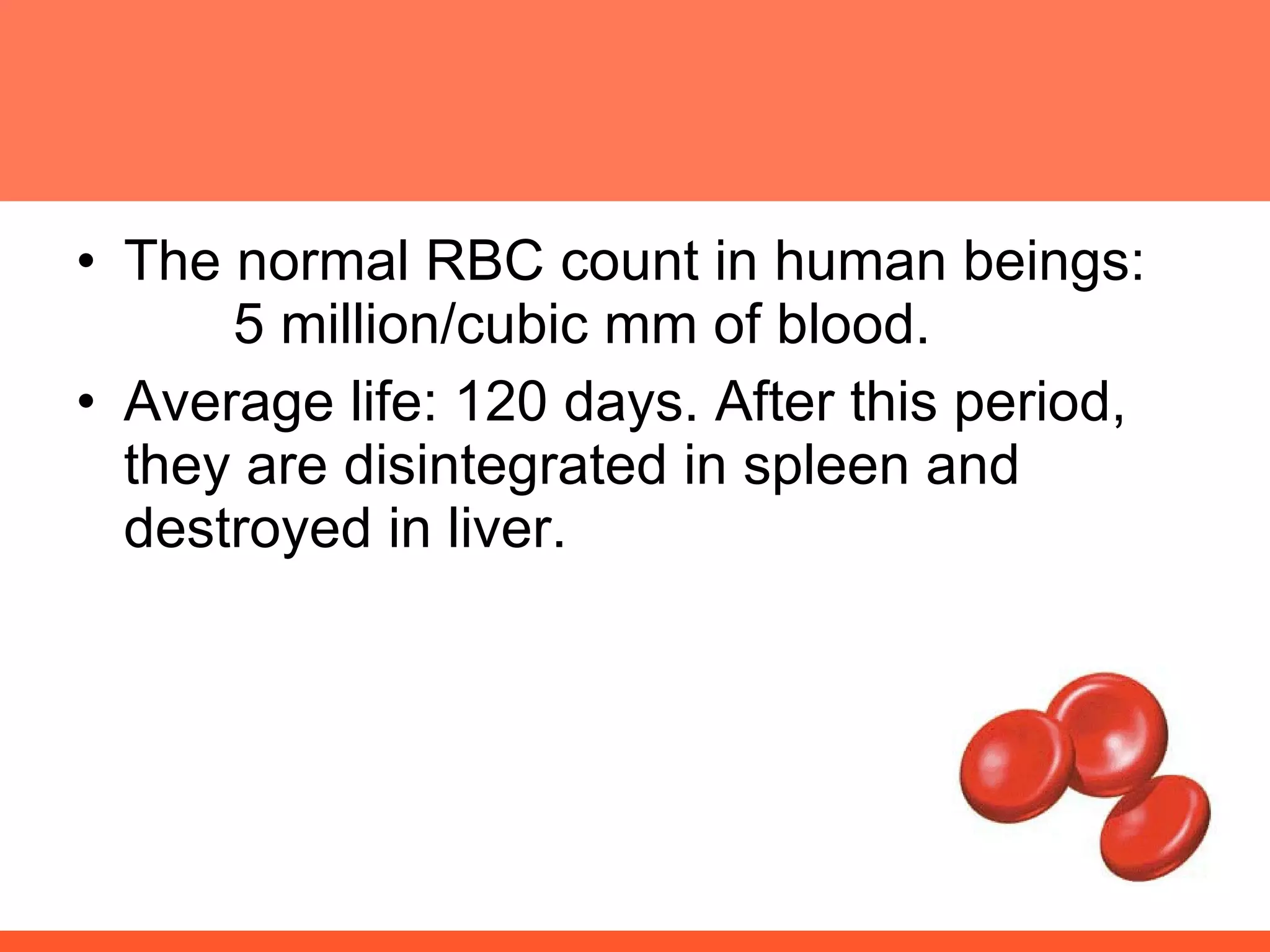 The normal RBC count in human beings:  5 million/cubic mm of blood. Average life: 120 days. After this period, they are disintegrated in spleen and destroyed in liver. 