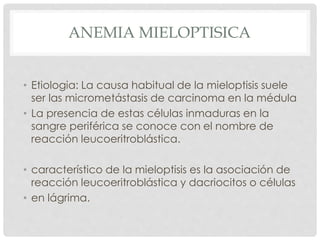ANEMIA MIELOPTISICA
• Etiologia: La causa habitual de la mieloptisis suele
ser las micrometástasis de carcinoma en la médula
• La presencia de estas células inmaduras en la
sangre periférica se conoce con el nombre de
reacción leucoeritroblástica.
• característico de la mieloptisis es la asociación de
reacción leucoeritroblástica y dacriocitos o células
• en lágrima.
 
