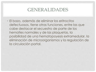 GENERALIDADES
• El bazo, además de eliminar los eritrocitos
defectuosos, tiene otras funciones, entre las que
cabe destacar el secuestro de parte de los
hematíes normales y de las plaquetas, la
posibilidad de una hematopoyesis extramedular, la
eliminación de microorganismos y la regulación de
la circulación portal.
 