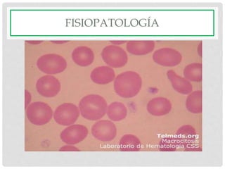 FISIOPATOLOGÍA
 