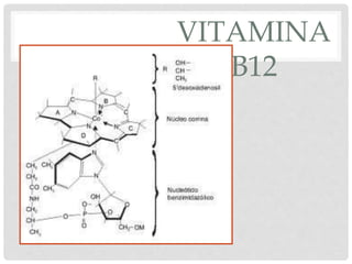 VITAMINA
B12
 