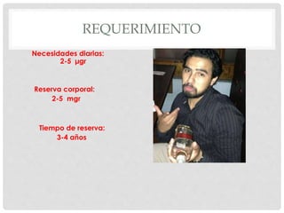 REQUERIMIENTO
Necesidades diarias:
2-5 µgr
Reserva corporal:
2-5 mgr
Tiempo de reserva:
3-4 años
 