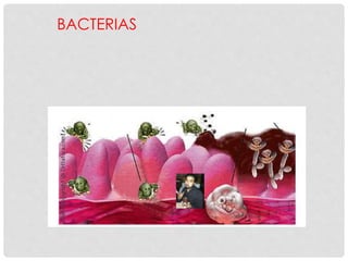 BACTERIAS
 