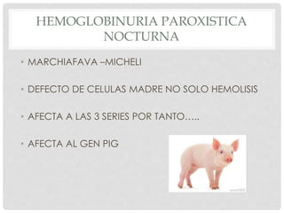 HEMOGLOBINURIA PAROXISTICA
NOCTURNA
• MARCHIAFAVA –MICHELI
• DEFECTO DE CELULAS MADRE NO SOLO HEMOLISIS
• AFECTA A LAS 3 SERIES POR TANTO…..
• AFECTA AL GEN PIG
 
