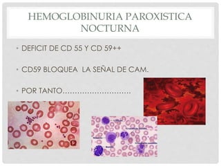 HEMOGLOBINURIA PAROXISTICA
NOCTURNA
• DEFICIT DE CD 55 Y CD 59++
• CD59 BLOQUEA LA SEÑAL DE CAM.
• POR TANTO……………………….
 