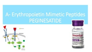 A- Erythropoietin Mimetic Peptides
PEGINESATIDE
 