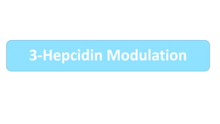 3-Hepcidin Modulation
 