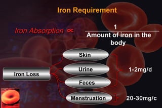 Iron Requirement
Iron AbsorptionIron Absorption ∝∝ 1
Amount of iron in the
body
Iron Loss
Skin
Urine
Feces
Menstruation
1-2mg/d
20-30mg/c
 