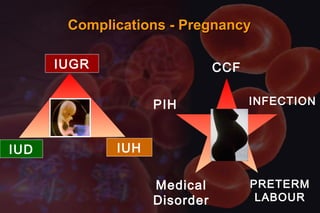 IUGR
IUD IUH
CCF
INFECTION
PRETERM
LABOUR
PIH
Medical
Disorder
Complications - PregnancyComplications - Pregnancy
 