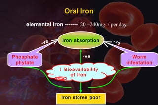 elemental Iron -------120 –240mg / per day
Iron stores poor
-ve
Iron absorption
↓ Bioavailability
of Iron
-ve-ve
Phosphate
phytate
Worm
infestation
Oral IronOral Iron
 