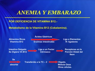 POR DEFICIENCIA DE VITAMINA B12.-
Metabolismo de la Vitamina B12 (Cobalamina).
Ácidos Gástricos
Alimentos Ricos Liga a Elementos
Vitamina B12 Enzimas Intestinales R- ligadores
Intestino Delgado Liga a un Factor Receptores en la
Se Digiere Vit B12 Intrinseco Porción Distal del
Ileon
Se
Transferido a la TC – 2 Hígado.
absorbe Médula Osea
Otras células.
ANEMIA Y EMBARAZO
 