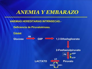 ANEMIA Y EMBARAZO
ANEMIAS HEREDITARIAS INTRÍNSECAS.-
Deficiencia de Piruvatokinasa.
Causa:
Glucosa G6P 1,3 Difosfoglicerato
2-Fosfoenolpiruvato
LACTATO Piruvato
HK
ADP
ATP
NADH NAD+
PK
LD
 