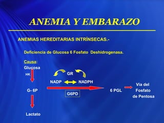 ANEMIA Y EMBARAZO
ANEMIAS HEREDITARIAS INTRÍNSECAS.-
Deficiencia de Glucosa 6 Fosfato Deshidrogenasa.
Causa:
Glucosa
GR
Vía del
G- 6P 6 PGL Fosfato
de Pentosa
Lactato
G6PD
NADP NADPH
HK
 