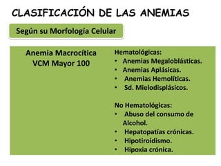 CLASIFICACIÓN DE LAS ANEMIAS
Anemia Macrocítica
VCM Mayor 100
Hematológicas:
• Anemias Megaloblásticas.
• Anemias Aplásicas.
• Anemias Hemolíticas.
• Sd. Mielodisplásicos.
No Hematológicas:
• Abuso del consumo de
Alcohol.
• Hepatopatías crónicas.
• Hipotiroidismo.
• Hipoxia crónica.
Según su Morfología Celular
 