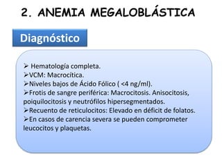2. ANEMIA MEGALOBLÁSTICA
Diagnóstico
 Hematología completa.
VCM: Macrocítica.
Niveles bajos de Ácido Fólico ( <4 ng/ml).
Frotis de sangre periférica: Macrocitosis. Anisocitosis,
poiquilocitosis y neutrófilos hipersegmentados.
Recuento de reticulocitos: Elevado en déficit de folatos.
En casos de carencia severa se pueden comprometer
leucocitos y plaquetas.
 