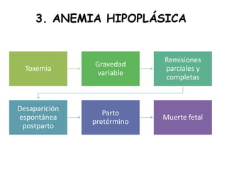 3. ANEMIA HIPOPLÁSICA
Toxemia
Gravedad
variable
Remisiones
parciales y
completas
Desaparición
espontánea
postparto
Parto
pretérmino
Muerte fetal
 
