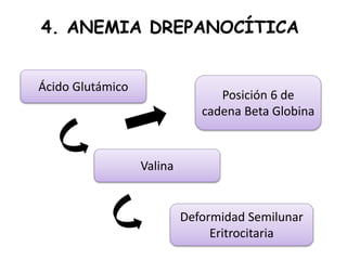 4. ANEMIA DREPANOCÍTICA
Ácido Glutámico
Valina
Deformidad Semilunar
Eritrocitaria
Posición 6 de
cadena Beta Globina
 