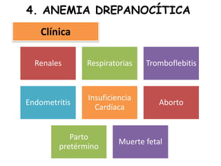 4. ANEMIA DREPANOCÍTICA
Clínica
Renales Respiratorias Tromboflebitis
Endometritis
Insuficiencia
Cardíaca
Aborto
Parto
pretérmino
Muerte fetal
 
