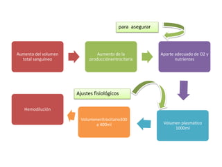 Aumento del volumen
total sanguíneo
Aumento de la
produccióneritrocitaria
Aporte adecuado de O2 y
nutrientes
Volumen plasmático
1000ml
Volumeneritrocitario300
a 400ml
Hemodilución
para asegurar
Ajustes fisiológicos
 