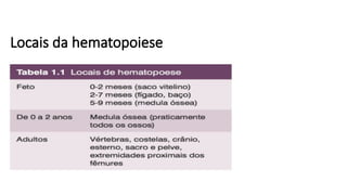 Locais da hematopoiese
 