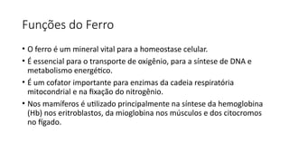 Funções do Ferro
• O ferro é um mineral vital para a homeostase celular.
• É essencial para o transporte de oxigênio, para a síntese de DNA e
metabolismo energético.
• É um cofator importante para enzimas da cadeia respiratória
mitocondrial e na fixação do nitrogênio.
• Nos mamíferos é utilizado principalmente na síntese da hemoglobina
(Hb) nos eritroblastos, da mioglobina nos músculos e dos citocromos
no fígado.
 