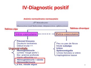 IV-Diagnostic positif
19
Tableau aigu Tableau chronique
Anémie normochrome normocytaire
RECAP
 