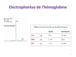 Electrophorèse de l'hémoglobine
27
 