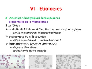 VI - Etiologies
2 - Anémies hémolytiques corpusculaires
a-anomalie de la membrane :
3 variétés :
 maladie de Minkowski Chauffard ou microsphérocytose
– déficit en protéine du complexe horizontal
 ovalocytose ou elliptocytose
– déficit en protéine du complexe horizontal
 stomatocytose. déficit en protéine7.2
– risque de thrombose
– splénectomie contre indiquée
29
 