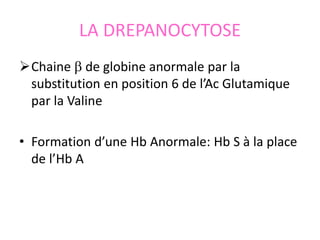 LA DREPANOCYTOSE
Chaine  de globine anormale par la
substitution en position 6 de l’Ac Glutamique
par la Valine
• Formation d’une Hb Anormale: Hb S à la place
de l’Hb A
 