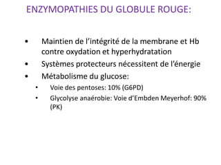 ENZYMOPATHIES DU GLOBULE ROUGE:
• Maintien de l’intégrité de la membrane et Hb
contre oxydation et hyperhydratation
• Systèmes protecteurs nécessitent de l’énergie
• Métabolisme du glucose:
• Voie des pentoses: 10% (G6PD)
• Glycolyse anaérobie: Voie d’Embden Meyerhof: 90%
(PK)
le rôle des enzymes des GR est le maintien de l’intégrité de HB
glycolyse, la première phase avant le cycle de Krebs
 
