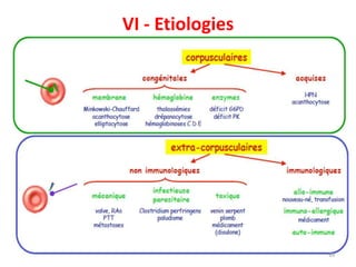 69
VI - Etiologies
 