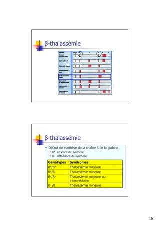 β-thalassémie




β-thalassémie




                16
 