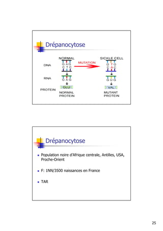 Drépanocytose




  Drépanocytose

Population noire d’Afrique centrale, Antilles, USA,
Proche-Orient

F: 1NN/3500 naissances en France

TAR




                                                      25
 