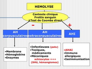 HEMOLYSE
Contexte clinique
Frottis sanguin
±Test de Coombs direct
AHAI
+
-
AH corpusculaires
AH
extracorpusculaires
AH
corpusculaires
AH
extracorpusculaires
AHI
•Membrane
•Hémoglobine
•Enzymes
•Infectieuses (palu)
•Toxiques,
médicaments
•Mécaniques
schizocytes +++
(SHU, hémangiomes)
•AHAI
•Immuno
allergiques
•Isoimmunisation
 