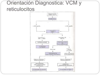 Orientación Diagnostica: VCM y
reticulocitos
 