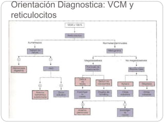 Orientación Diagnostica: VCM y
reticulocitos
 