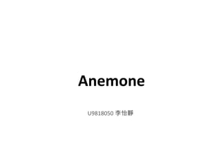 Anemone U9818050 李怡靜 