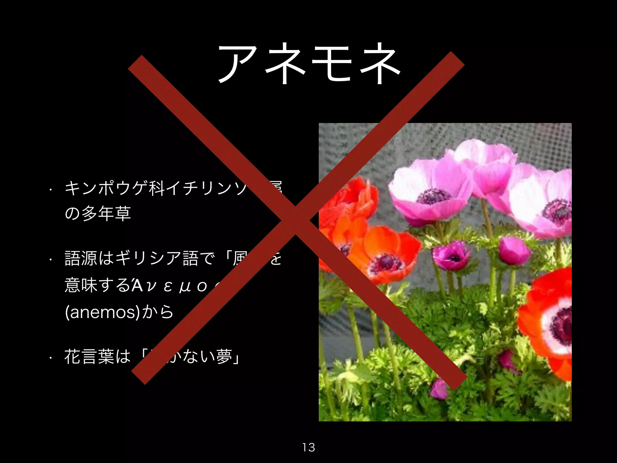 アネモネ 
• キンポウゲ科イチリンソウ属 
の多年草 
• 語源はギリシア語で「風」を 
意味するΆνεμος 
(anemos)から 
• 花言葉は「はかない夢」 
13 
 