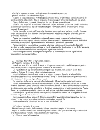- bazinele sunt prevazute cu canale drenoare si groapa de pescuit care
poate fi interioara sau exterioara - figura 1
In cazul in care productia de peste (crap) realizata nu poate fi valorificata toamna, bazinele de
crestere datorita adancimilor de 2 m spre zona de evacuare pot fi folosite si ca bazine de iernat.
Fiecare helesteu are o gura de alimentare si o gura de evacuare (calugar).
In cazul cand umplerea bazinelor de crestere nu este de debitul de primavara, este recomandabil
ca inundarea bazinelor de crestere sa se faca treptat pentru dezvoltarea si valorificarea hranei
naturale de catre pesti.
Fundul bazinelor trebuie astfel amenajat incat evacuarea apei sa se realizeze complet. In acest
scop, fundul acestora este prevazut cu o retea de canale de pentru scurgerea apei catre gura de
evacuare a bazinului.
Aceste bazine conduc in acelasi timp si pestele catre gura de evacuare a bazinului pentru
recoltare. Sub aceste aspecte reteaua de canale mentionata are o importanta deosebita, de buna ei
intretinere si functionare depinzand in mare parte reusita pescuitului de toamna.
Pentru mentinerea capacitatii de productie naturala a bazinelor este recomandabil ca solul
acestuia sa nu fie indepartat prin utilizare la construrea digurilor decat numai in caz de forta majora
si in acesta situatie trebuie luate masuri pentru ingrasarea fundului.
Pentru transportul hranei pentru pesti si al pestelui in perioada pescuitului, digurile sunt
amenajate in drumuri carosabile.
2. Tehnologia de crestere si ingrasare a crapului.
a) Pregatirea bazinelor de crestere
In vederea crearii, in helesteele de crestere si ingrasare a crapului a conditiilor optime pentru
dezvoltarea pestilor se impune aplicarea lucrarilor de ameliorare.
De regula bazinele de crestere a crapului in perioada de iarna, sunt lasate pe uscat, daca
productia de peste de consum a fost vanduta din toamna.
In perioada in care bazinele sunt pe uscat se asigura repararea digurilor si a instalatiilor
hidrotehnice (instalatii de alimentare si evacuare a apei), se curata bazinele de vegetatie uscata se
intretin canalele drenoare si gropile de pescuit.
De obicei aceste lucrari se executa in lunile ianuarie, februarie si inceputul lunii martie.
Inainte de inundarea bazinelor de crestere de regula in luna martie (prima decada) se executa
lucrarile de mobilixzare a solului ce contituie fundul bazinului, se aplica amendamentele de calciu
acestea in urma unor analize a solului si se distribuie ingrasamintele organice sau minerale. Aceste
lucrari se executa in amenajarile ciprinicole unde se tine cont si de productivitatea naturala.
In amenajarile ciprinicole intensive unde productiile realizate sunt de 5-6 to/ha productivitatea
naturala nu poate fi luata in calcul.
Se monteaza mesele de furajare 8-10 mese/ha avand in vedere densitatea la populare mare si
pentru a evita crestrea pestelui pe mai multe categorii de greutati (fig.2)
Inundarea bazinelor de crestere are loc in luna martie in 10 zile.
b)Popularea bazinelor de crestere
Dupa tehnologia clasica, indiferent de ciclul de exploatare adoptat primavara de
regula in ultima decada a lunii martie sau prima decada a lunii aprilie inainte ca pestele sa caute
activ hrana se trece treptat la popularea bazinelor de crestere.
b.1. Necesar material de populare
 