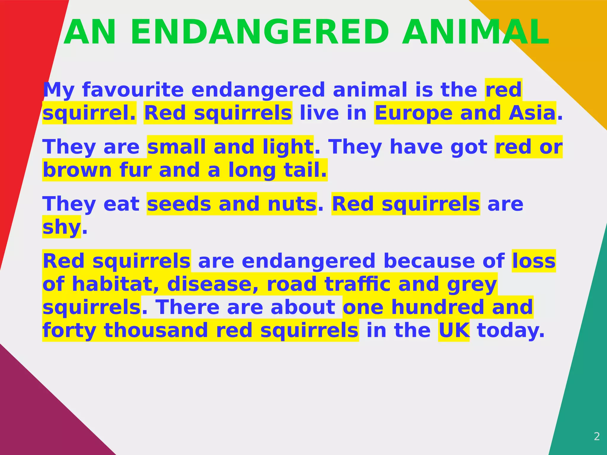 2
AN ENDANGERED ANIMAL
My favourite endangered animal is the red
squirrel. Red squirrels live in Europe and Asia.
They are small and light. They have got red or
brown fur and a long tail.
They eat seeds and nuts. Red squirrels are
shy.
Red squirrels are endangered because of loss
of habitat, disease, road traffic and grey
squirrels. There are about one hundred and
forty thousand red squirrels in the UK today.
