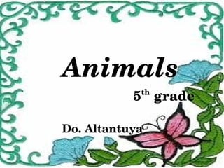 Animals
                       5  grade
                    th



    Do. Altantuya

               
 