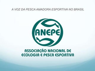 A VOZ DA PESCA AMADORA ESPORTIVA NO BRASIL
 